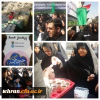 همزمان با همایش عظیم و شکوهمند پیاده روی اربعین;

خدمتگزاری دانشجویان پردیس ها و مراکز استان تهران به جاماندگان کاروان راهیان کربلا در تهران 4