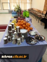 جشنواره کشوری تجربیات برتر در آموزش هنر