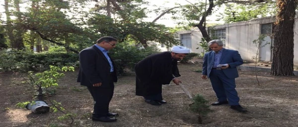 گرامیداشت هفته محیط زیست و کاشت گل در مجموعه مدیریت استانی