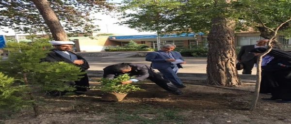 گرامیداشت هفته محیط زیست و کاشت گل در مجموعه مدیریت استانی