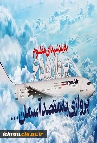 به یاد شهدای پرواز 655