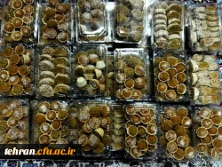 پیاده روی و موکب اربعین حسینی