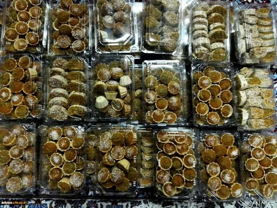 پیاده روی و موکب اربعین حسینی