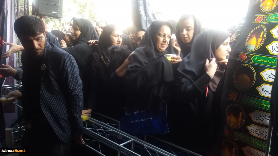 پیاده روی و موکب اربعین حسینی