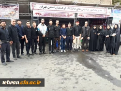 پیاده روی و موکب اربعین حسینی