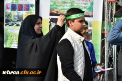 پیاده روی و موکب اربعین حسینی