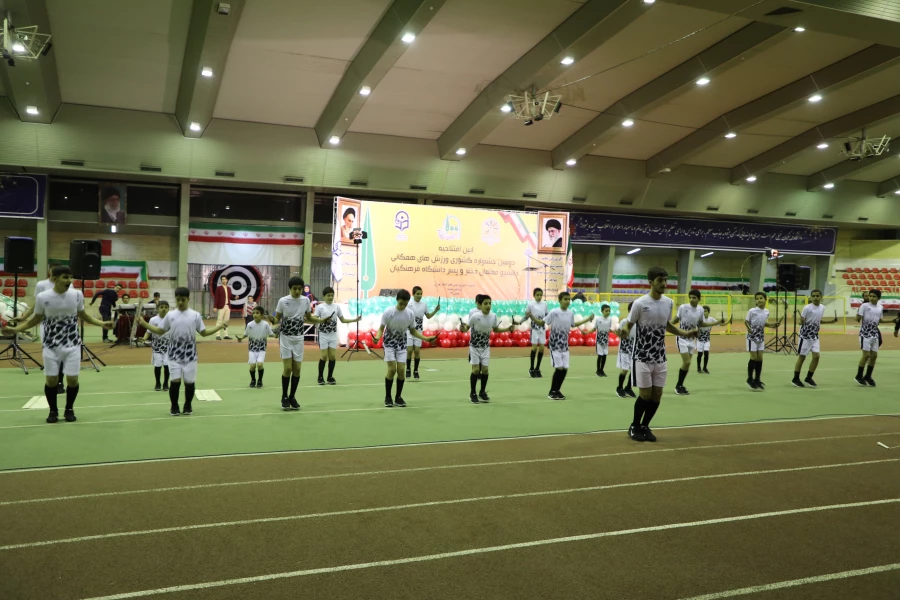 attach2019014132742244377155