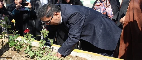 کاشت بوته گل رز در فضای سبز پردیس نسیبه