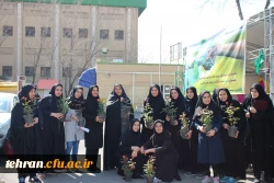 کاشت بوته گل رز در فضای سبز پردیس نسیبه