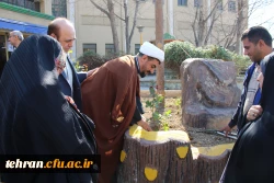 کاشت بوته گل رز در فضای سبز پردیس نسیبه