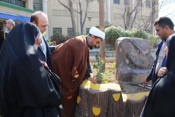 کاشت بوته گل رز در فضای سبز پردیس نسیبه