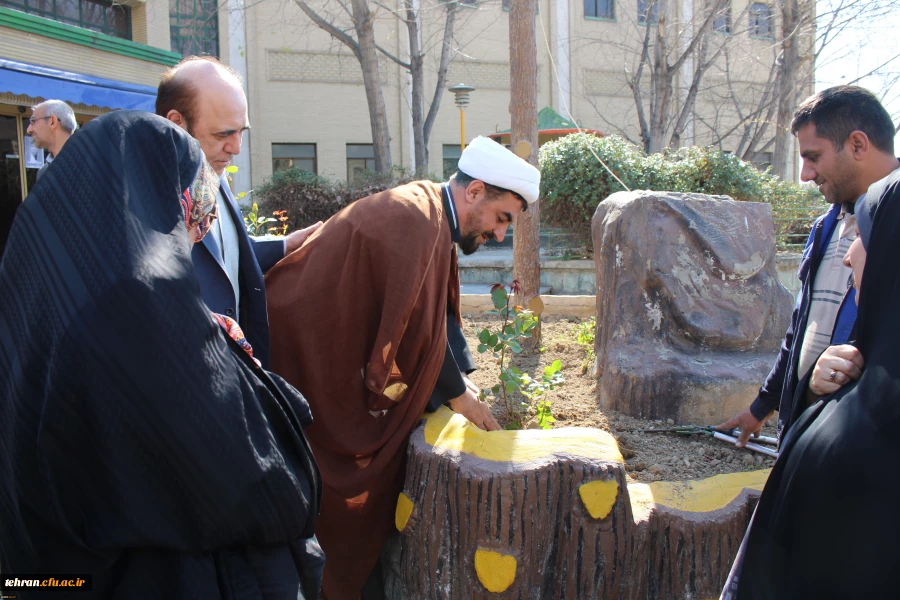 کاشت بوته گل رز در فضای سبز پردیس نسیبه