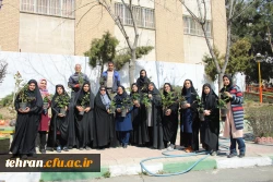 کاشت بوته گل رز در فضای سبز پردیس نسیبه