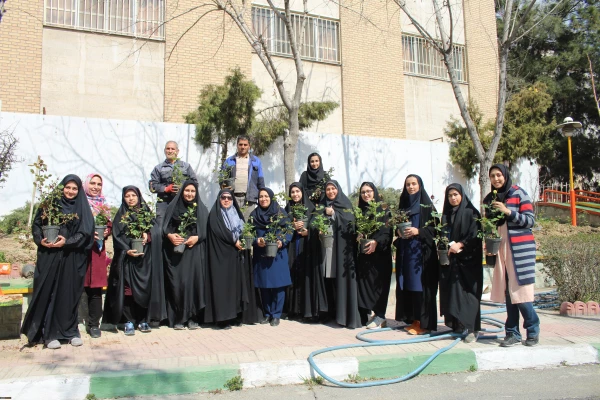 کاشت بوته گل رز در فضای سبز پردیس نسیبه