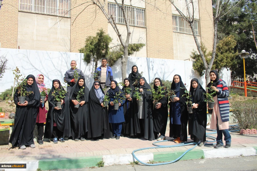 کاشت بوته گل رز در فضای سبز پردیس نسیبه