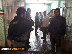 گزارش تصویری از اردوی جهادی دانشجومعلمان استان تهران در کمک به مناطق سیل زده 7