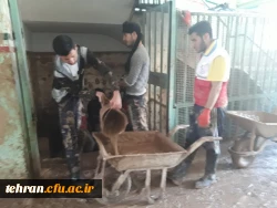 گزارش تصویری از اردوی جهادی دانشجومعلمان استان تهران در کمک به مناطق سیل زده 8