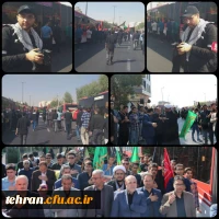 آیین پیاده روی اربعین حسینی پردیس ها و مراکز استان تهران 2