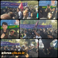 آیین پیاده روی اربعین حسینی پردیس ها و مراکز استان تهران 3