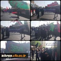 آیین پیاده روی اربعین حسینی پردیس ها و مراکز استان تهران 6