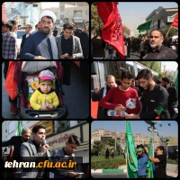 آیین پیاده روی اربعین حسینی پردیس ها و مراکز استان تهران 10