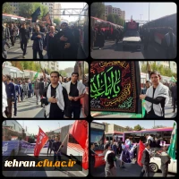 آیین پیاده روی اربعین حسینی پردیس ها و مراکز استان تهران 11