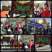 آیین پیاده روی اربعین حسینی پردیس ها و مراکز استان تهران 13