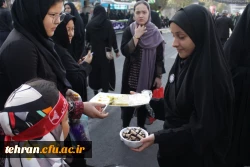 آیین پیاده روی اربعین حسینی پردیس ها و مراکز استان تهران 15