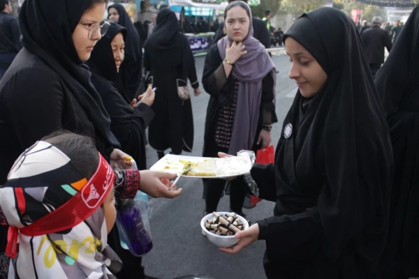 آیین پیاده روی اربعین حسینی پردیس ها و مراکز استان تهران 15