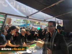 آیین پیاده روی اربعین حسینی پردیس ها و مراکز استان تهران 18