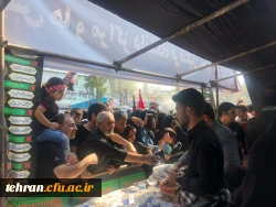 آیین پیاده روی اربعین حسینی پردیس ها و مراکز استان تهران 19
