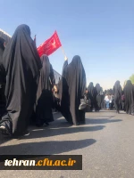 آیین پیاده روی اربعین حسینی پردیس ها و مراکز استان تهران 22