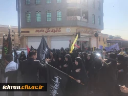 آیین پیاده روی اربعین حسینی پردیس ها و مراکز استان تهران 23