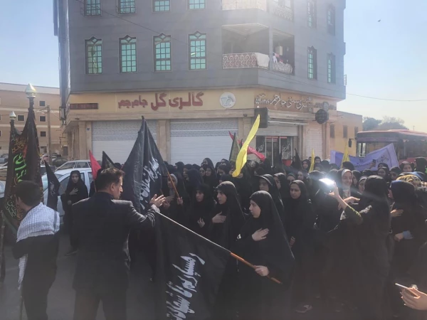 آیین پیاده روی اربعین حسینی پردیس ها و مراکز استان تهران 23