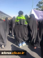 آیین پیاده روی اربعین حسینی پردیس ها و مراکز استان تهران 24