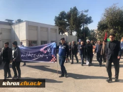 آیین پیاده روی اربعین حسینی پردیس ها و مراکز استان تهران 25