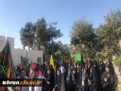 آیین پیاده روی اربعین حسینی پردیس ها و مراکز استان تهران 28