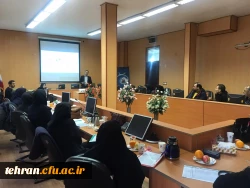 کارگاه نحوه اجرای دروس رسمی الکترونیکی اساتید استان های تهران و البرز در مدیریت امور پردیس های استان تهران  2