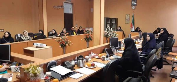 کارگاه نحوه اجرای دروس رسمی الکترونیکی اساتید استان های تهران و البرز در مدیریت امور پردیس های استان تهران  6