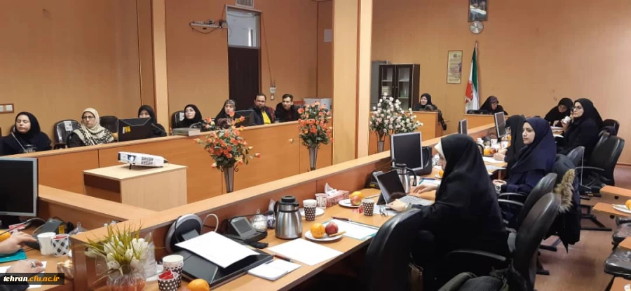 کارگاه نحوه اجرای دروس رسمی الکترونیکی اساتید استان های تهران و البرز در مدیریت امور پردیس های استان تهران  6