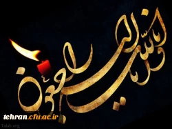 همکار ارجمند  جناب آقای ابوالفضل کباری 2