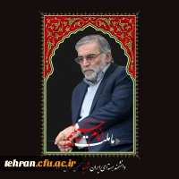 پیام تسلیت مدیر امور پردیس های دانشگاه فرهنگیان استان تهران درخصوص شهادت دکتر محسن فخری زاده 2