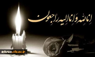 پیام تسلیت 

جناب آقای دکتر انصاری راد