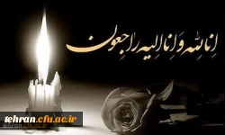 جناب آقای دکتر پاک سرشت 2