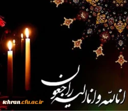 جناب آقای دکتر طاهری نیا 2