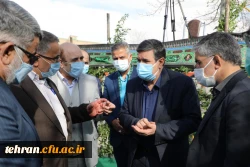 آیین تشییع و تدفین پیکر مطهر شهید گمنام در پردیس شهید چمران دانشگاه فرهنگیان تهران به روایت تصویر 19