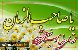 ولادت با سعادت قائم آل محمد حضرت مهدی (عج) مبارک باد. 2