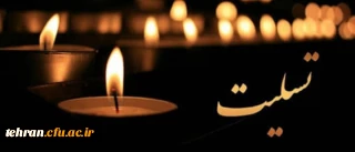 پیام تسلیت

جناب آقای دکتر بلاغی