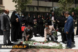 مرحله کشوری جشنواره غذای سالم 16