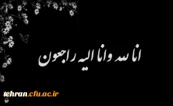 مقام عالی وزارت آموزش و پرورش  2